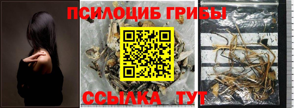 Галлюциногенные грибы MAGIC MUSHROOMS Ивантеевка