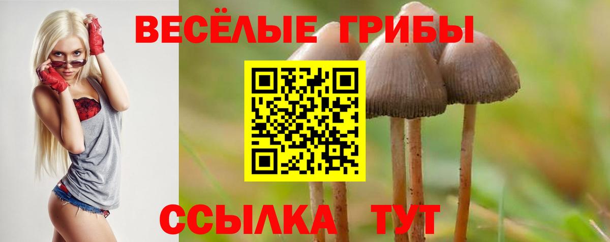 Галлюциногенные грибы Psilocybine cubensis  Вход с VPN  Галлюциногенные грибы Psilocybe  Ивантеевка 